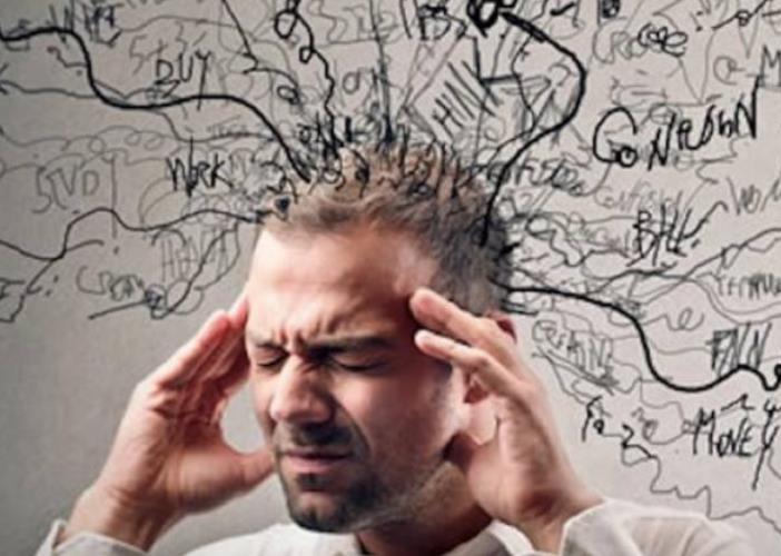 让“树尖”到“舌尖”的距离更短